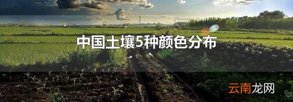 中国土壤5种颜色分布