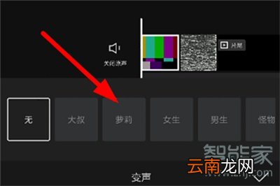 剪映里的变声器怎么用