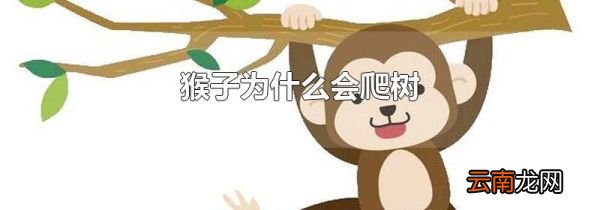 猴子为什么会爬树