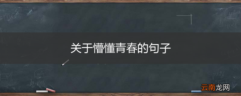 关于懵懂青春的句子