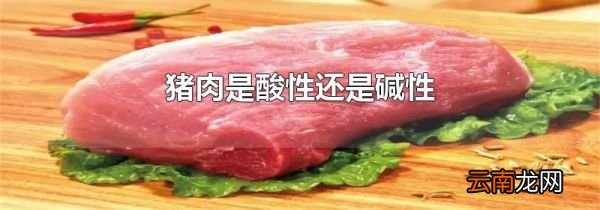 猪肉是酸性还是碱性