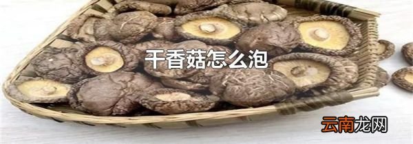 干香菇怎么泡