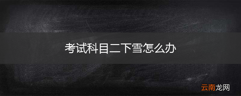 考试科目二下雪怎么办