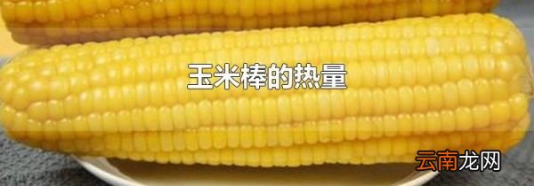 玉米棒的热量