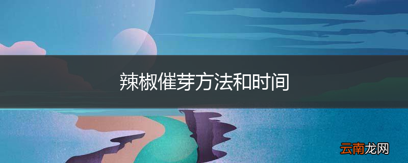 辣椒催芽方法和时间