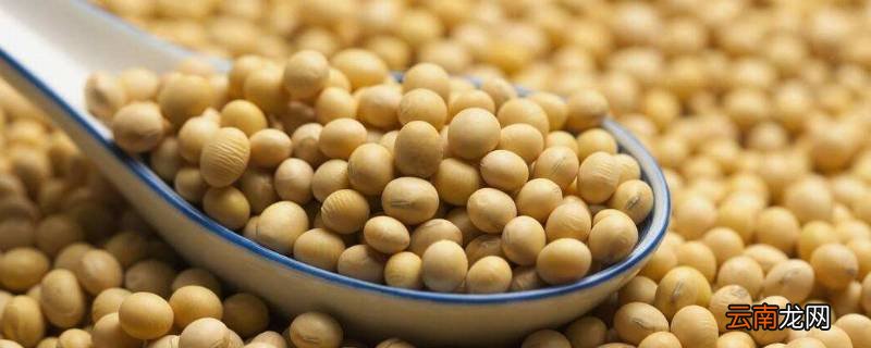 哪种元素对大豆有特殊作用