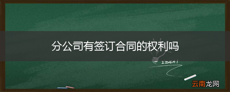 分公司有签订合同的权利吗