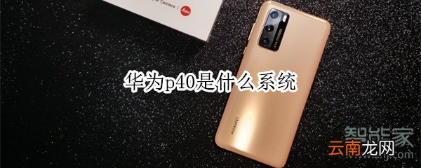 华为p40是什么系统