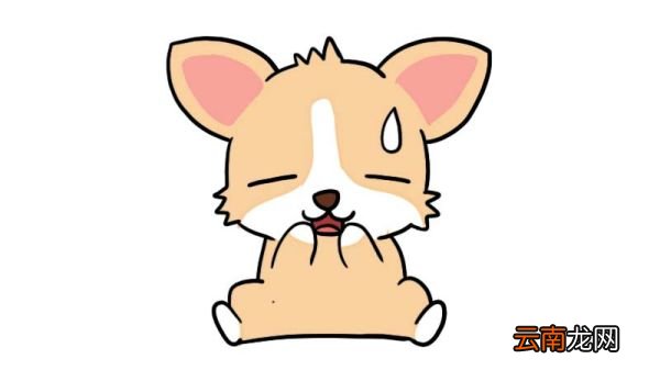 可爱的柯基简笔画