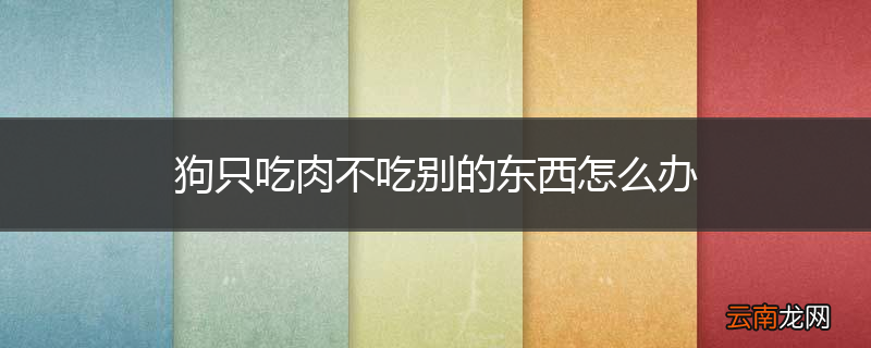 狗只吃肉不吃别的东西怎么办