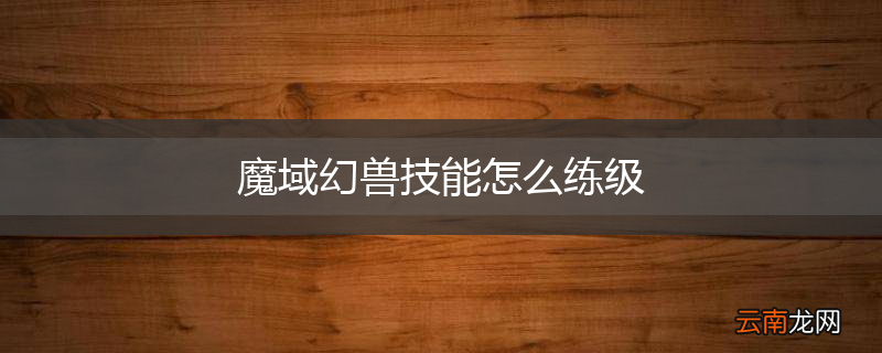 魔域幻兽技能怎么练级