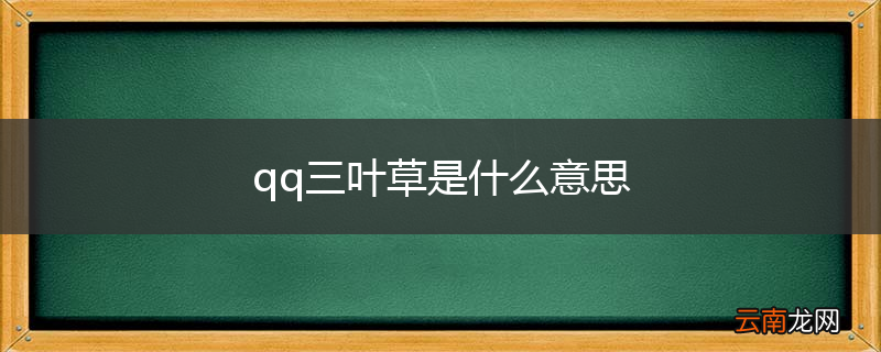 qq三叶草是什么意思