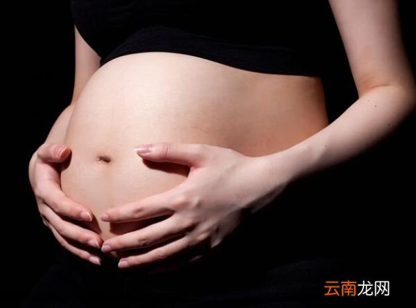 普洱熟茶不适用人群 哪些人不适合喝普洱熟茶