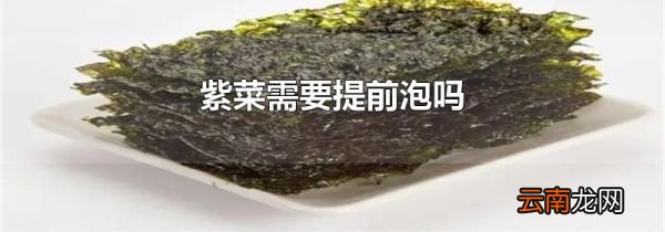 紫菜需要提前泡吗