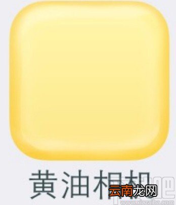 黄油相机APP退出登录的方法