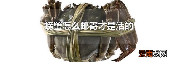 螃蟹怎么邮寄才是活的