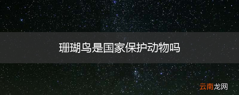 珊瑚鸟是国家保护动物吗