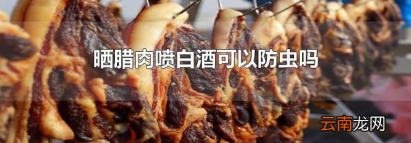 晒腊肉喷白酒可以防虫吗