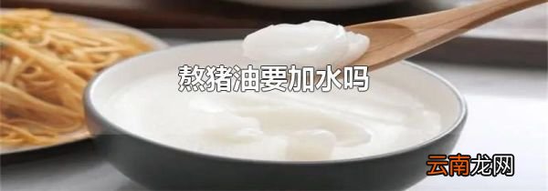 熬猪油要加水吗