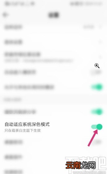 QQ音乐APP关闭自适应深色模式的方法