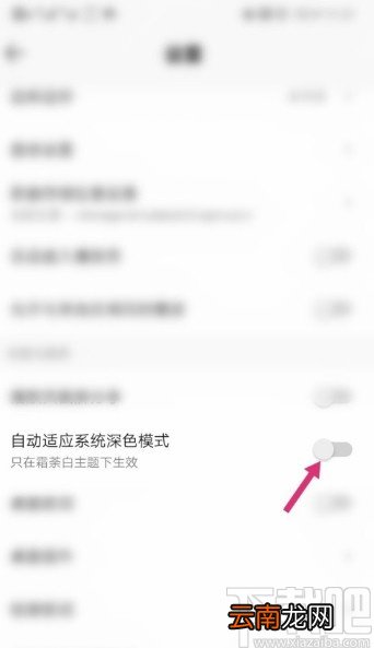 QQ音乐APP关闭自适应深色模式的方法