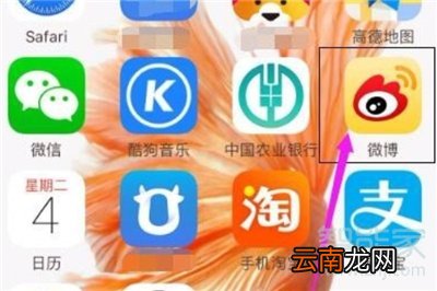 微博视频怎么转发到微信朋友圈