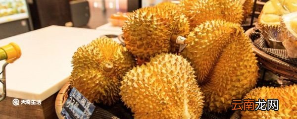 榴莲怎么保存才新鲜 榴莲怎么保存
