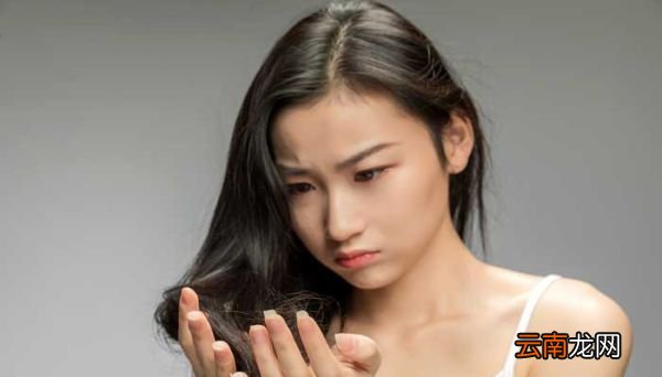 头发的故事主要内容 头发的故事主要内容是什么