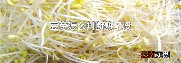 豆芽怎么判断熟了没