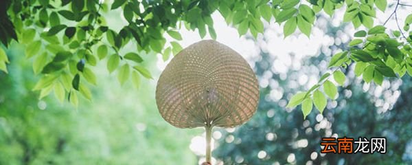 夏天早上几点天亮 夏季的时间划分