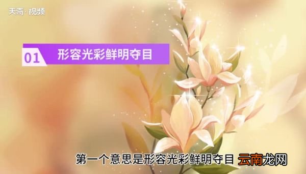 灿烂的意思 灿烂是什么意思