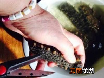 拉缸盐海参怎么泡发