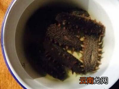 拉缸盐海参怎么泡发