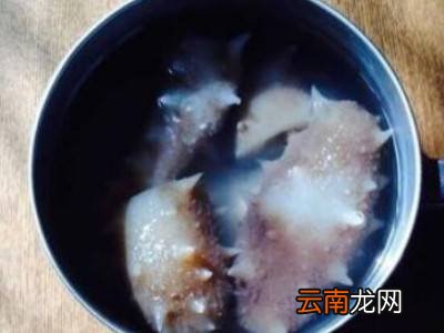 拉缸盐海参怎么泡发