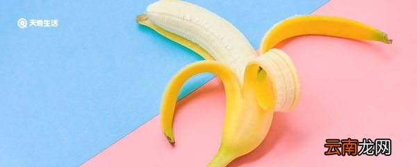香蕉为什么是弯的 为什么香蕉是弯的