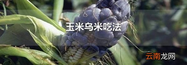 玉米乌米吃法