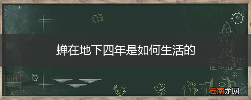 蝉在地下四年是如何生活的