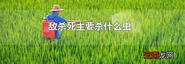 敌杀死主要杀什么虫