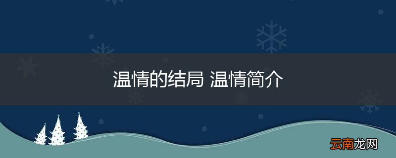 温情的结局 温情简介