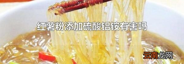 红薯粉添加硫酸铝铵有害吗