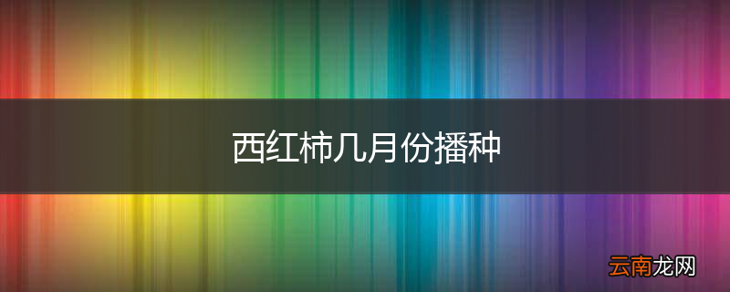 西红柿几月份播种