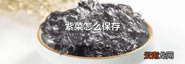 紫菜怎么保存