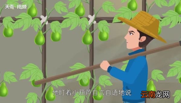 我要的是葫芦告诉我们什么道理 课文我要的是葫芦告诉我们什么道理