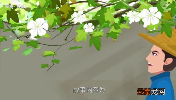 我要的是葫芦告诉我们什么道理 课文我要的是葫芦告诉我们什么道理