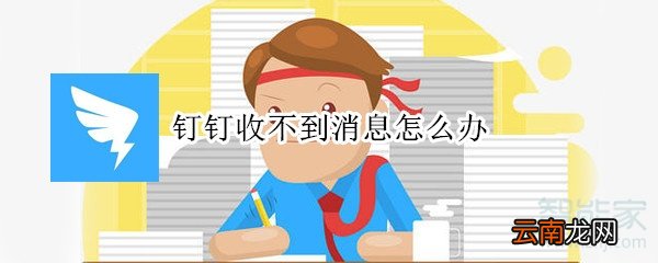 钉钉收不到消息怎么办