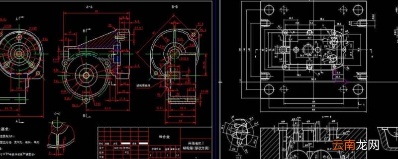 d10是什么意思