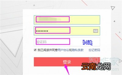 手机怎样设置头条号投放广告