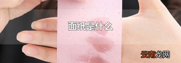 面纸是什么