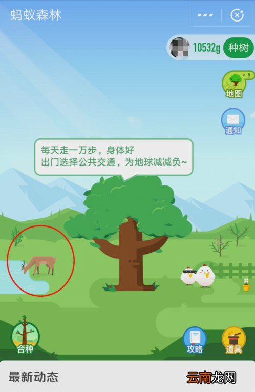 怎么在蚂蚁森林首页有小鹿？小鹿获取攻略分享
