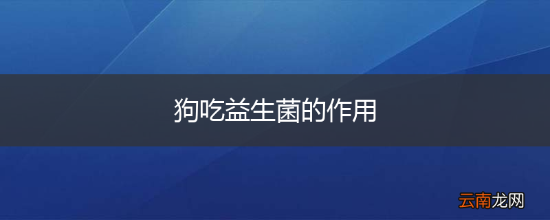 狗吃益生菌的作用